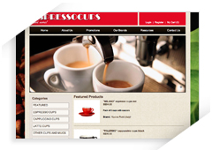 Ecommerce Work